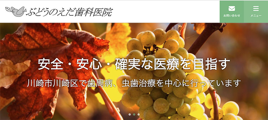 川崎市川崎区の歯医者おすすめ5選 ぶどうのえだ歯科医院