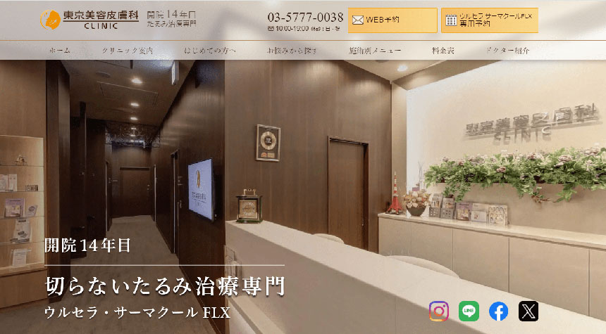 東京医療ハイフクリニック|東京都の医療ハイフ(HIFU) おすすめクリニック10選|施術の解説も