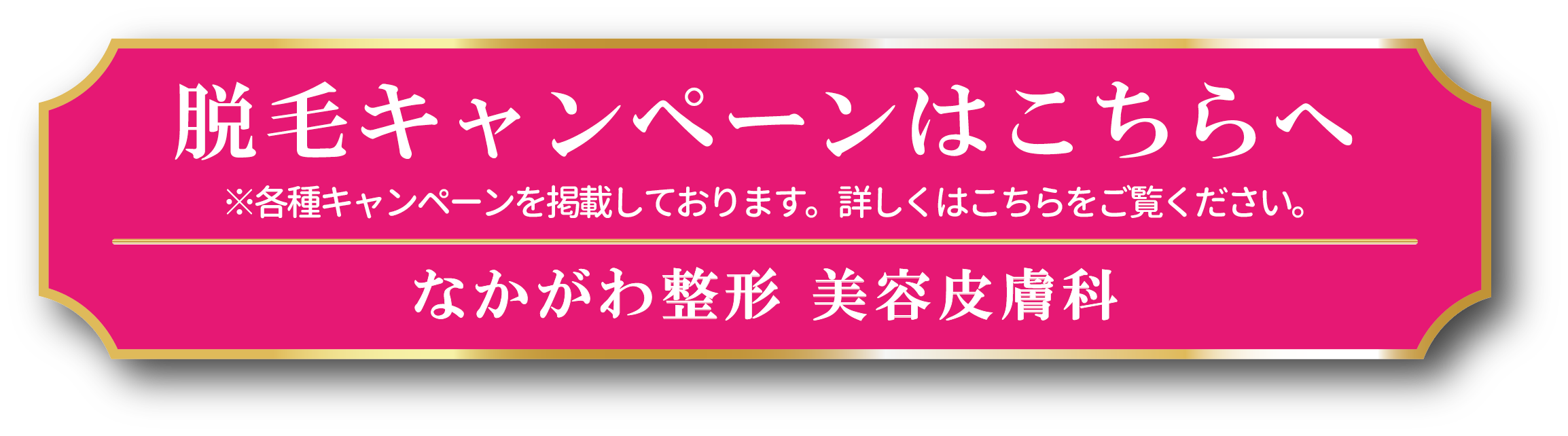 なかがわ整形美容皮膚科