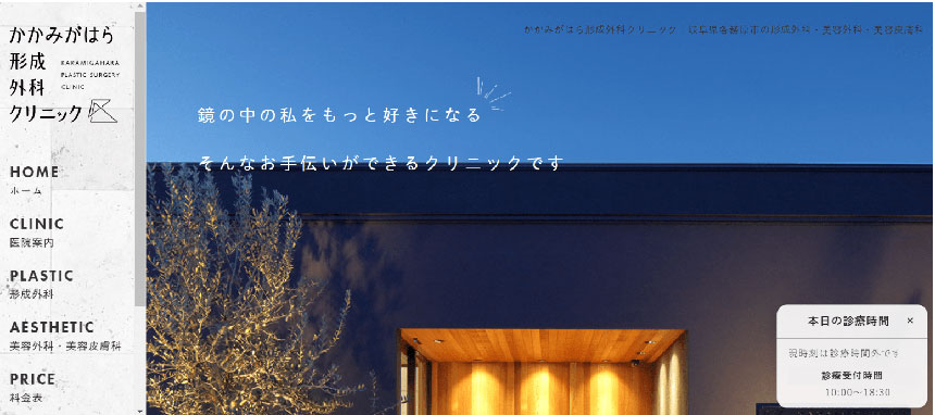 岐阜県で評判のほくろ除去におすすめのクリニック5選 かかみがはら形成外科クリニック