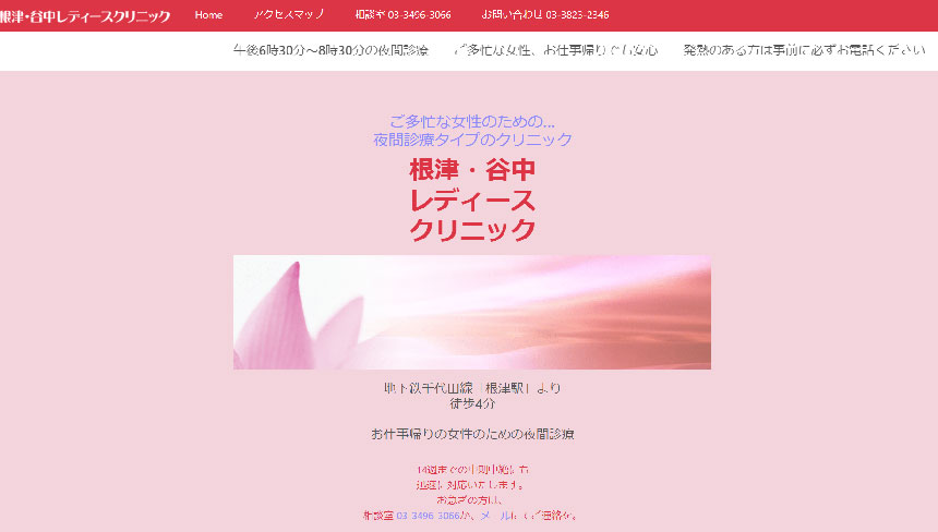 上野で評判の婦人科クリニックおすすめ5選 根津・谷中レディースクリニック