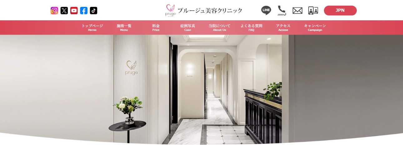 品川周辺で評判のヒアルロン酸注射・注入におすすめのクリニック5選 プルージュ美容クリニック
