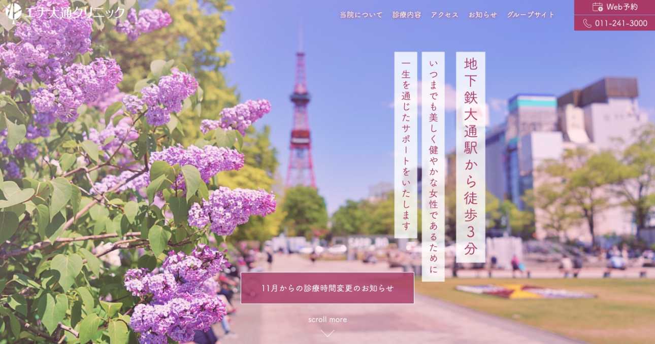 【2025年最新】札幌市のブライダルチェックにおすすめのクリニック5選|エナ大通クリニック