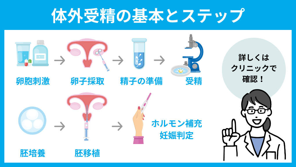 東京都の体外受精｜おすすめクリニック10選＆各ステップや料金目安も解説