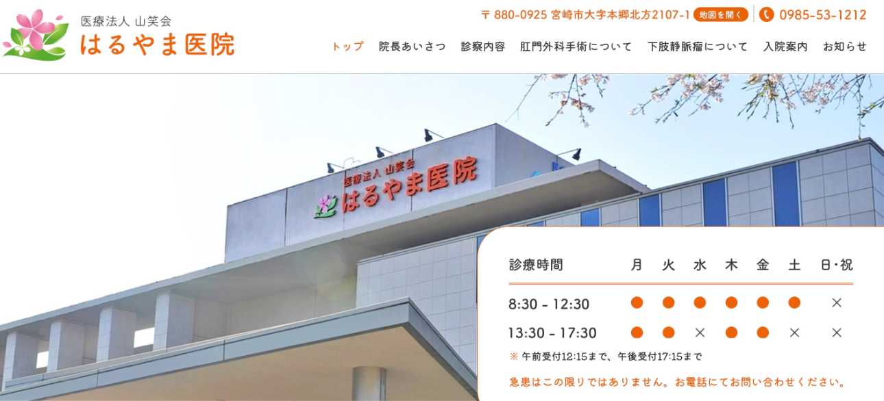 【2025年最新】宮崎県の肛門科クリニックおすすめ5選|はるやま医院
