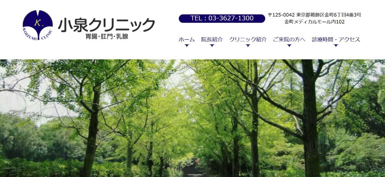 【2025年最新】葛飾区周辺の肛門科クリニックおすすめ5選|小泉胃腸肛門乳腺クリニック