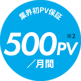 業界初PV保証500PV/月間※2
